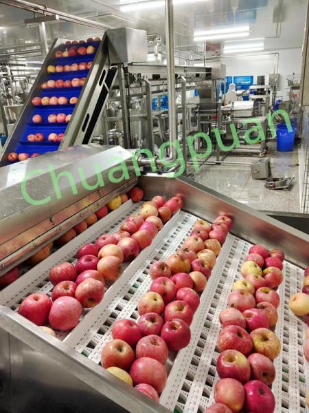 Quality 30KW Main Motor Power Apple Juice Production Line Multi Stage Filtration for sale