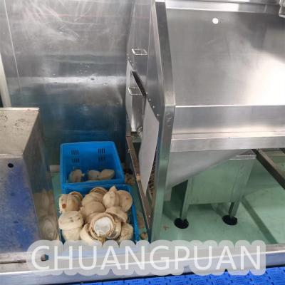 중국 고전압 코코넛 워터 추출 기계 1-10T/H 충전 속도 판매용