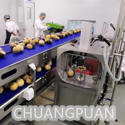 中国 汎用ステンレス鋼 1-10T/H 水抽出 若いココナッツ切断機 販売のため