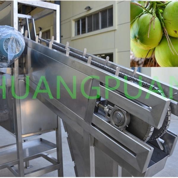 Quality 35-120kw Coconut Water Cutting Machine 5-20 BIB Bag for sale