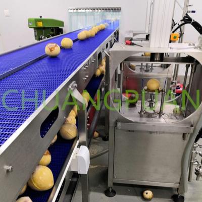 중국 유연한 자동 코코넛 워터 머신 스테인리스 스틸 판매용