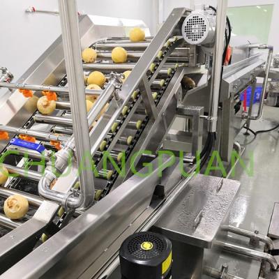 Chine Machine de traitement du lait de noix de coco avec 304 acier inoxydable à vendre
