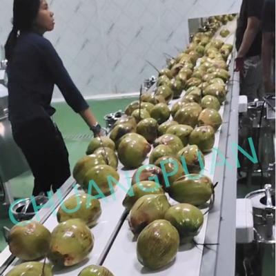 중국 2-9T/H 충전 속도 코코넛 워터 머신 5-20 BIB 가방 판매용