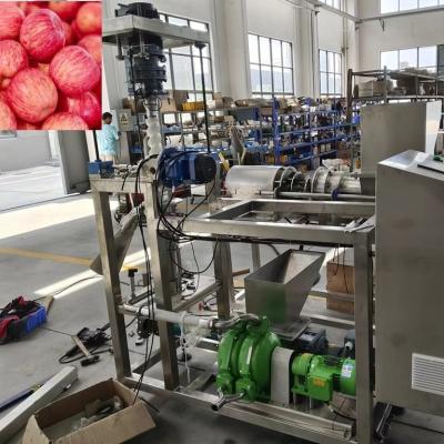 China Linha de produção de suco de maçã de pasteurização 15T Capacidade à venda