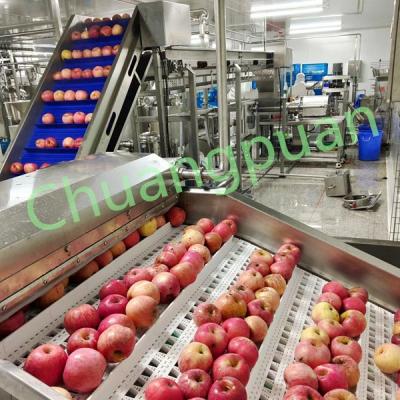 China Cloudy Apple Juice Processing Equipment With PLC Control for sale