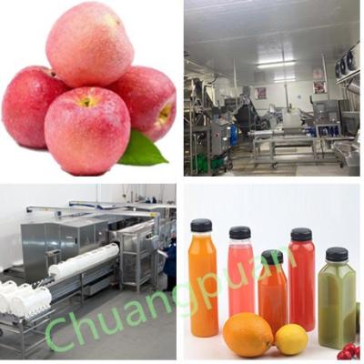 China 380V 50Hz 15T Apple Juice Production Line Cold Pressing for sale