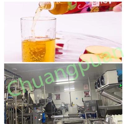 China Carton Bottle Can Packaging Machine To Make Apple Juice for sale