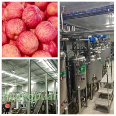 China Multi Stage Filtration Apple Processing Equipment Cold Pressing for sale