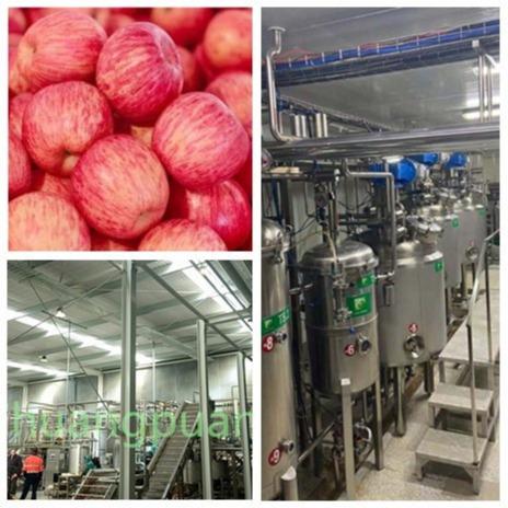 Quality Multi Stage Filtration Apple Processing Equipment Cold Pressing for sale