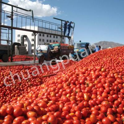 China Tomato Sauce Production Line for Tomato Ketchup Tomato Sauce 415V Voltage for sale
