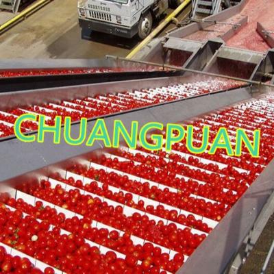 China Streamlined Tomato Processing with Customized Tomato Production Line for sale