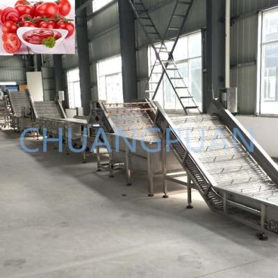 China High Capacity 2-60T/H Tomato Sauce Processing Line Bubble Wash for sale