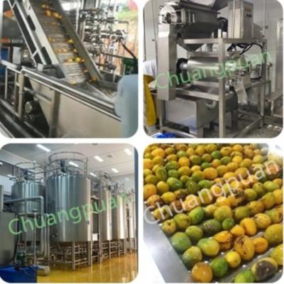 China Fruit Processing Stainless Steel Mango Juice Production Line for sale