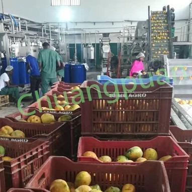 Quality Electric Mango Pulp Processing Line 150-180Kw Power 10-20 Tons/Hour Capacity for sale