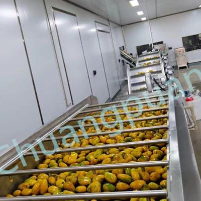 Китай 410V 380V 20KW линия производства манговой целлюлозы, машина для извлечения манговой целлюлозы продается
