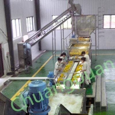 China Streamlined Concentrated Mango Juice Plant Machinery for sale