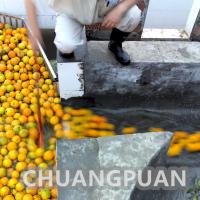 Quality Stainless Steel Orange Juice Production Line 50Hz Orange Juice Extraction for sale