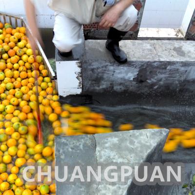 중국 스테인리스 스틸 오렌지 주스 생산 라인 50Hz 오렌지 주스 추출 기계 판매용