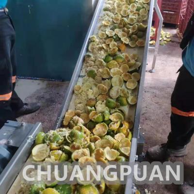 China Automatic PLC Controlled Orange Juice Production Line for sale