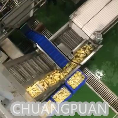 China SS304 Pineapple Processing Line With CIP Cleaning System Coring Steps for sale