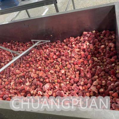 China Máquina de fabricação de confitura de morango 304 aço inoxidável 1-20 TPH à venda