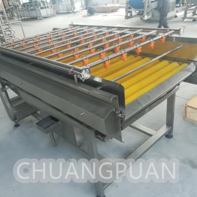 China Automatic Fruit Pulper SUS304 Stainless Steel 1-10T/H Soft Brush Washer for sale