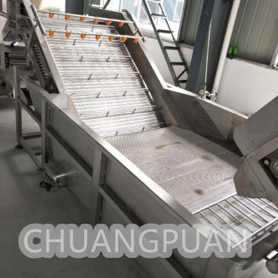 China 1-20T/H Pulpa de frutas automática de acero inoxidable de cadena de placa de burbujas lavadora para frutas en venta