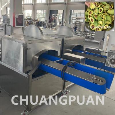China Máquina de processamento de pasta de abacate de 1 a 10 T/H personalizada com controlo automático à venda