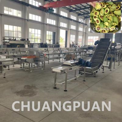 China Máquina de extração e fabricação de confitura de óleo de abacate personalizada de aço inoxidável 304 à venda