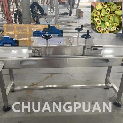 Chine Système de chauffage à la vapeur Ligne de production de machines de fabrication de confiture de pâte d'avocat à vendre