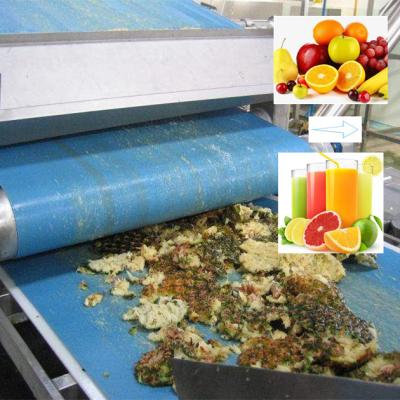 China High Efficiency Belt Type Fruit Juice Squeeze Machine Wooden Packages for sale
