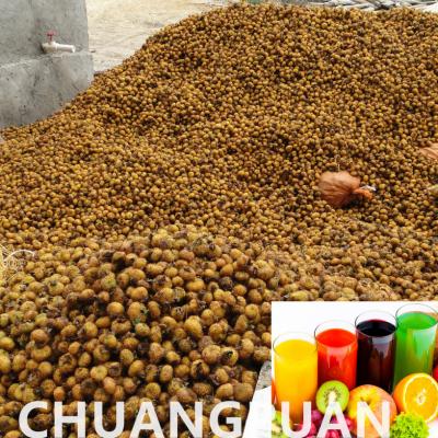 China Controle por PLC Rosa Roxburghii Linha de produção de suco de pêra-de-perro personalizável 1 - 10T/H à venda
