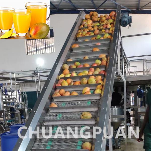 Quality 20 - 150KW Mango Pulp Production Processing Line With Stainless Steel Material for sale
