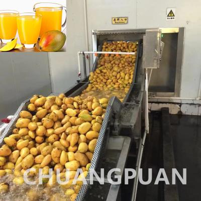 China 10000KG Concentrated Mango Pulp Processing Line For Smooth Pulping Performance for sale