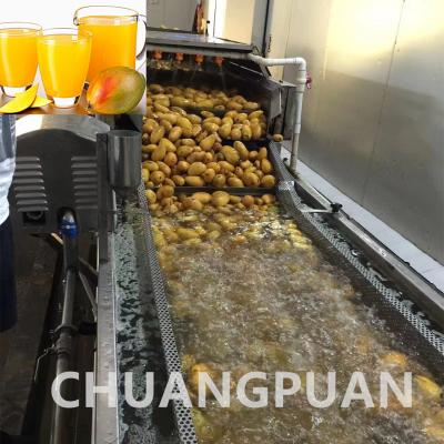 China Stainless Steel Mango Juice Production Line For Fast And Consistent Performance for sale