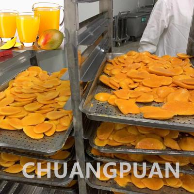 Chine Ligne de production de mangue en acier inoxydable pour les fruits conservés avec procédé de pulpage et capacité de 0,5 à 20 tonnes/heure à vendre
