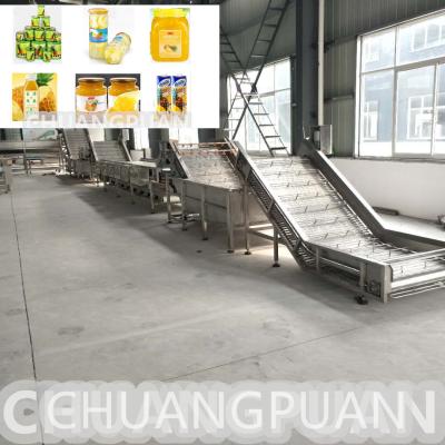 China History More Than 10 Years Automatic Control Raw Pineapple Juice Pulp Processing Machine for sale