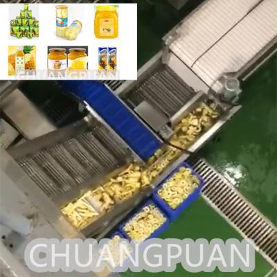 Китай Полностью автоматическое управление ПЛК Линия производства ананасового варенья с консистенцией 10-20Brix продается
