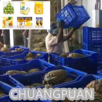 Chine 10-20Ligne de transformation de jus d'ananas NFC HPP de Brix avec une histoire de plus de 10 ans à vendre