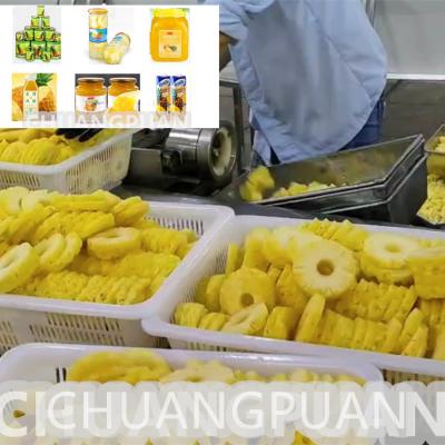 China Linha de produção de abacaxi cortado em fatias em lata SS304 personalizada Capacidade 0,5-15T/H à venda