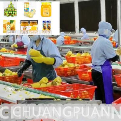 China 5Th Canned Chucked Pineapple Food Processing Line with Automatic Operation for sale