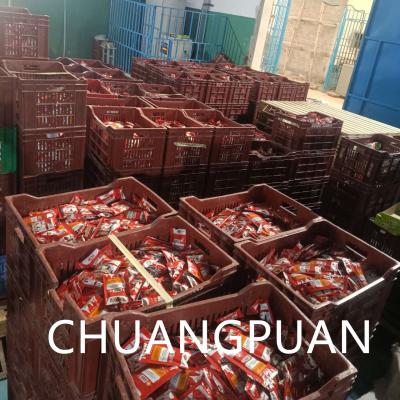 China Máquina automática de embalagem de pasta de tomate tubo em tubo máquina de esterilização de aço inoxidável à venda
