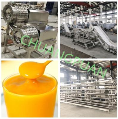 China Electric Mango Pulp Processing Line 150-180Kw Power 10-20 Tons/Hour Capacity for sale
