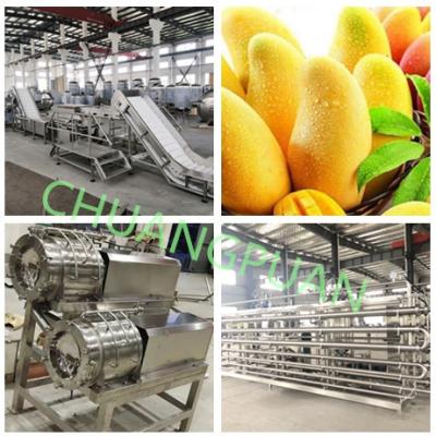 China Capacity Sea Transport Fully Automatic Plc Mango Pulp Processing Line for sale