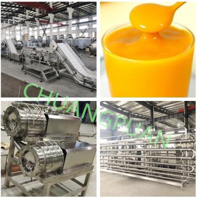 China Máquina de procesamiento automática de pasta de mango de acero inoxidable controlada por PLC Totalmente automática 15-20 toneladas / hora en venta