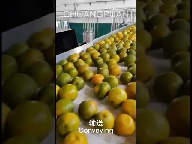 How NFC orange juice is made in factory ，let‘s go and see