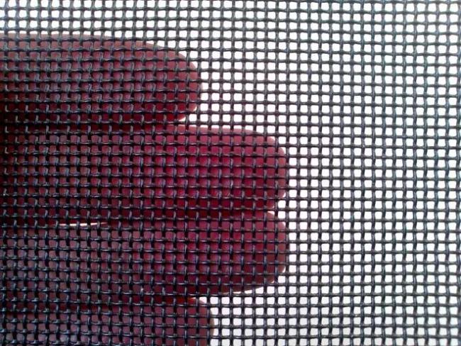 16 Mesh Stainless Steel Security Mesh installation