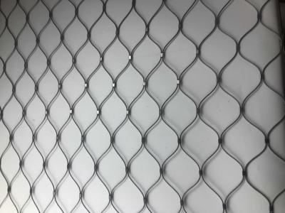 China Aviary 7x7 Stainless Steel Bird Mesh 2mm 2.5mm 3mm Thickness for sale