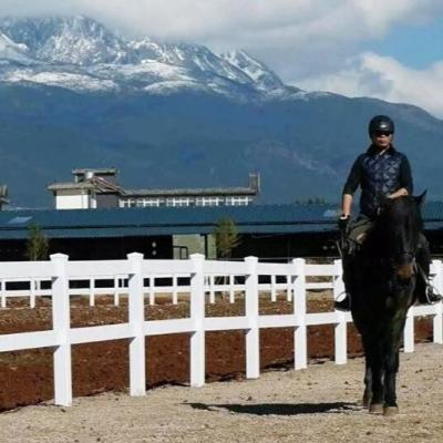 China Alambre blanco Mesh Farm Fencing Outdoor Pvc del poste y del carril los 8ft del vinilo para el caballo en venta