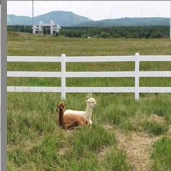 China Cerca blanca resistente de la granja del PVC del caballo del color de 2 carriles de la cerca del vinilo en existencia en venta
